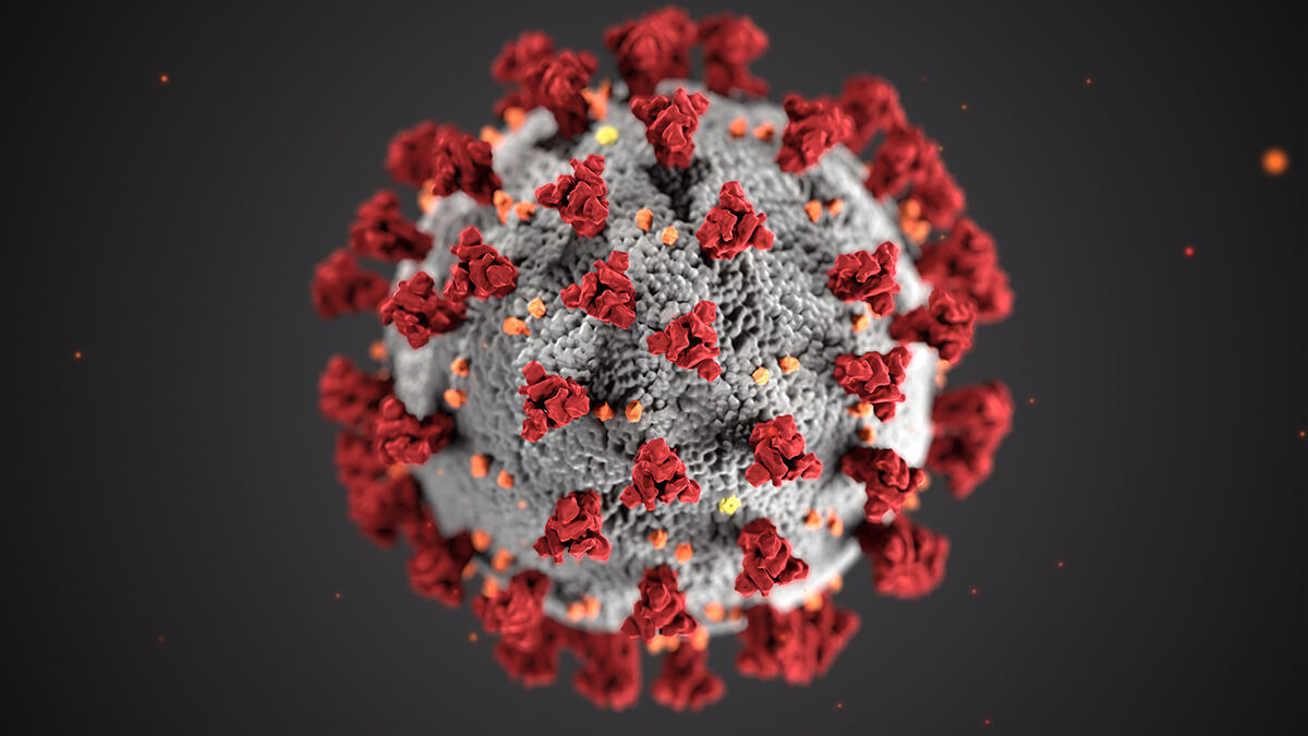 Up-close illustration of the coronavirus