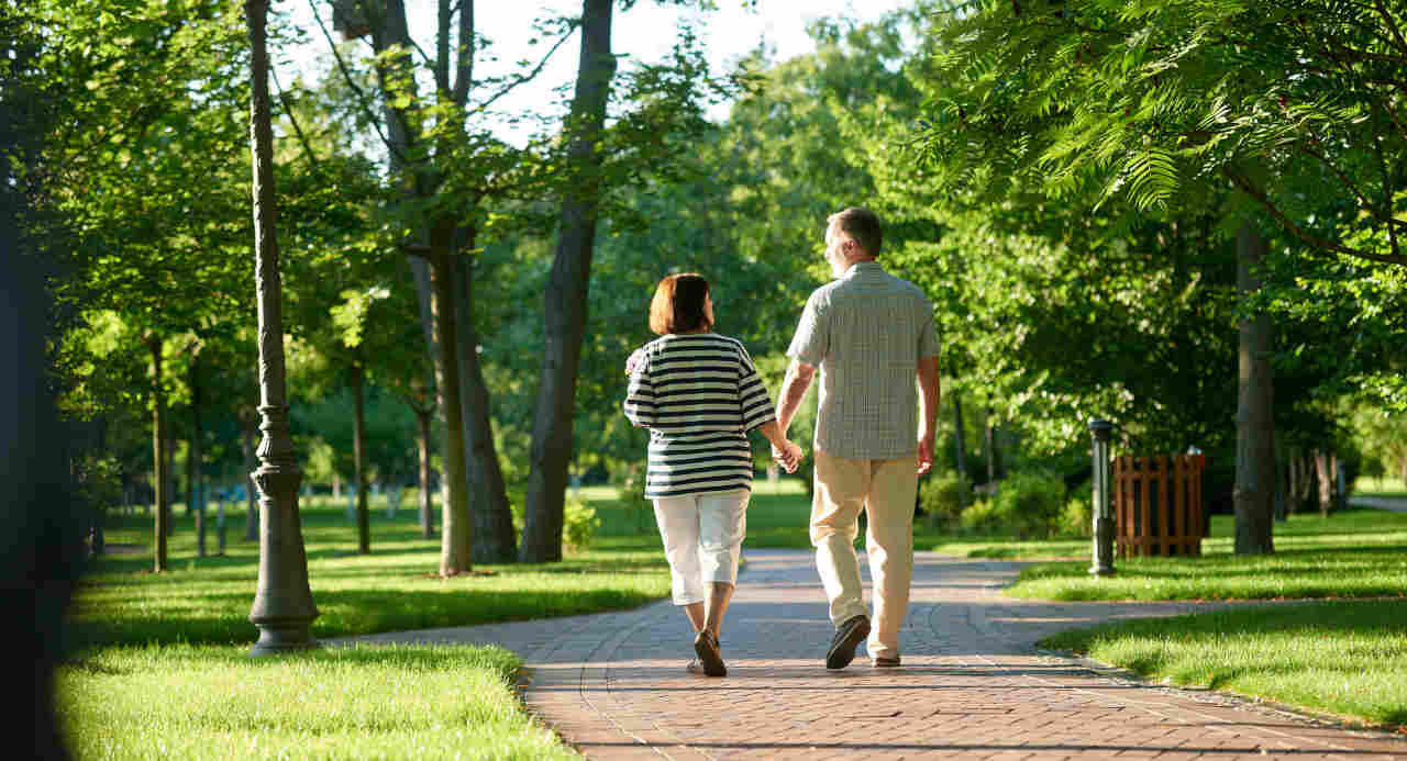 Couple holding hands while walking in a park