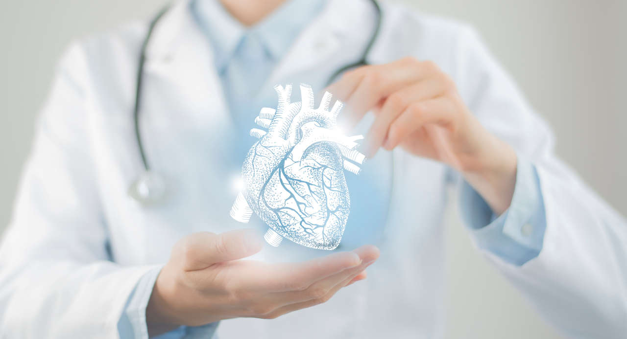 Doctor holding virtual heart.
