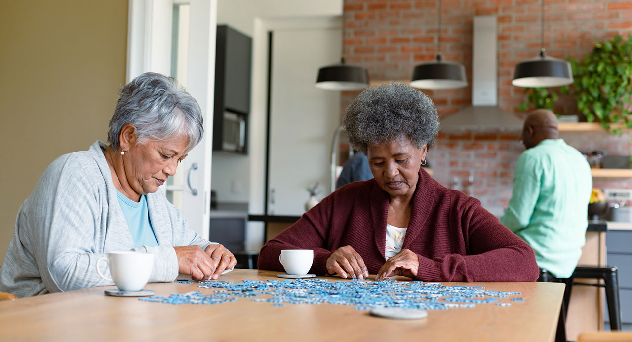 puzzle-neuroplasticity